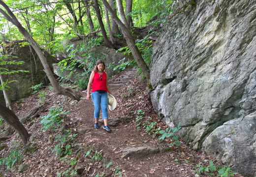 WP-20180728-14-00-42-Pro