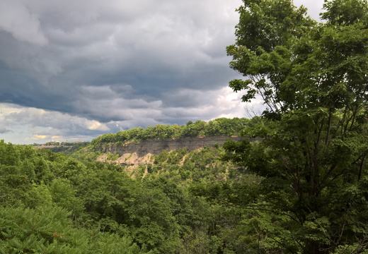 WP-20180728-14-24-48-Pro