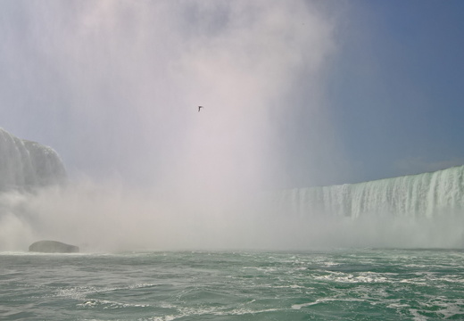 WP-20180729-10-58-43-Pro