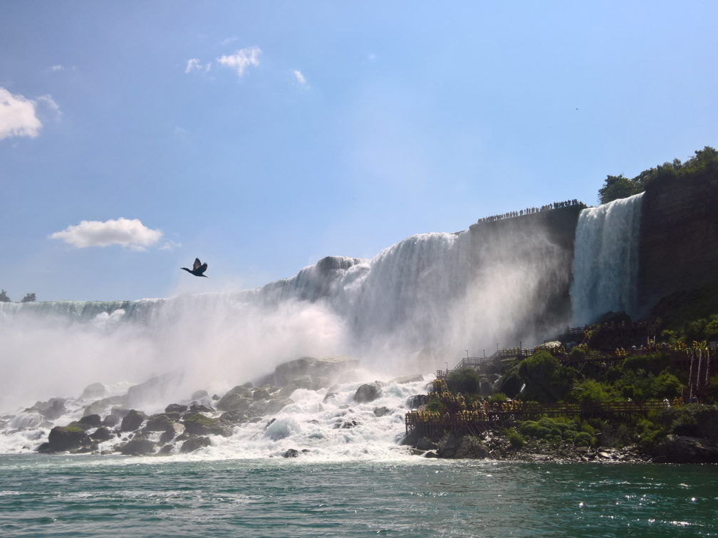 WP-20180729-11-05-58-Pro