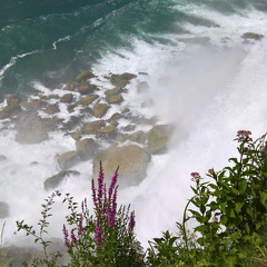 WP-20180729-15-11-31-Pro