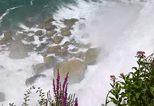 WP-20180729-15-11-31-Pro