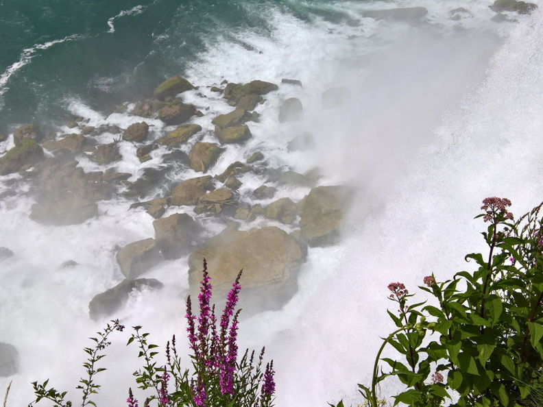 WP-20180729-15-11-31-Pro