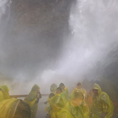 WP-20180729-16-27-51-Rich