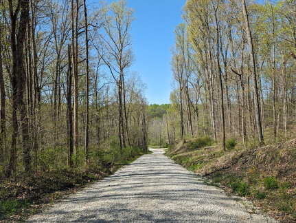 PXL 20240420 151812858