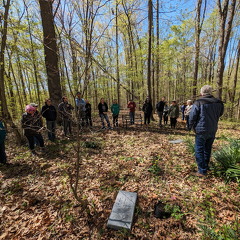 PXL 20240420 155600818