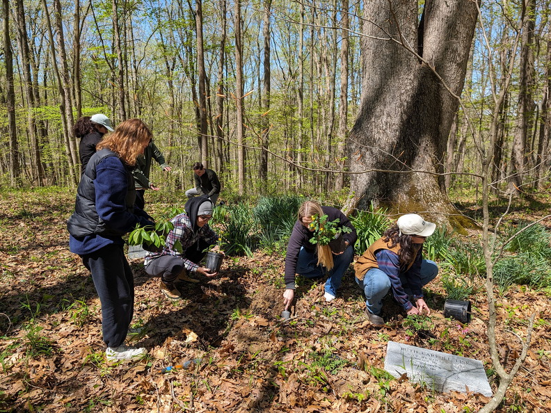 PXL 20240420 163640097