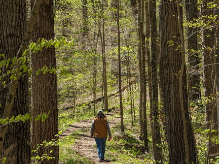 PXL 20240420 174706401