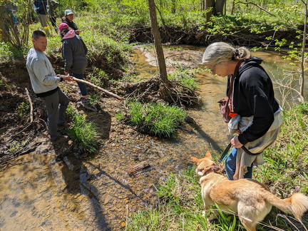 PXL 20240420 192009235