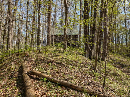 PXL 20240420 195551077