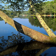 WP-20160804-18-31-52-Pro