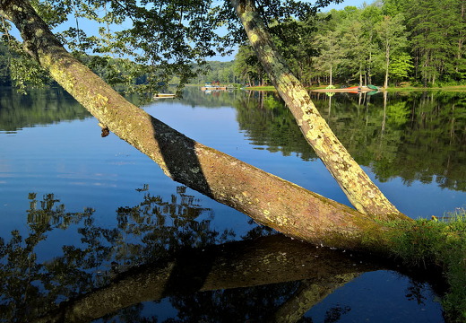 WP-20160804-18-31-52-Pro