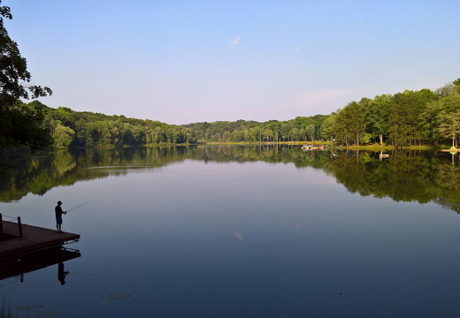 WP-20160804-18-36-35-Pro