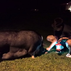 WP-20160804-22-00-54-Pro