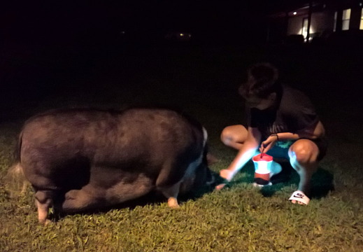 WP-20160804-22-00-54-Pro