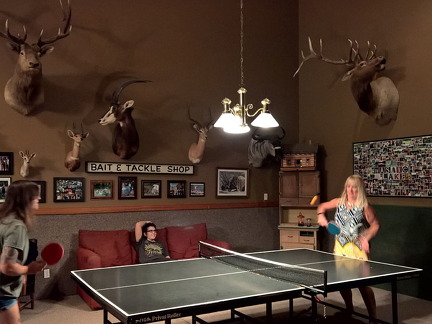 WP-20160804-22-35-33-Pro