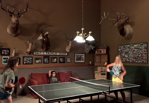 WP-20160804-22-35-33-Pro