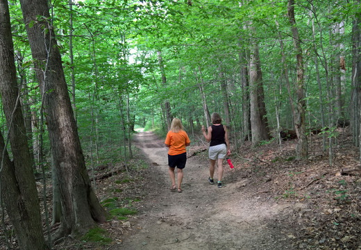 WP-20160805-11-21-05-Pro