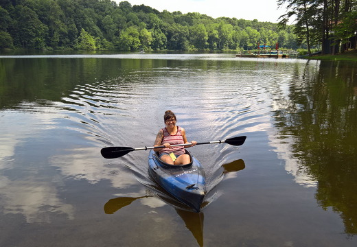 WP-20160805-12-56-39-Pro