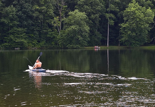 WP-20160805-17-36-07-Pro