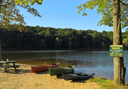 WP-20160806-18-46-50-Rich