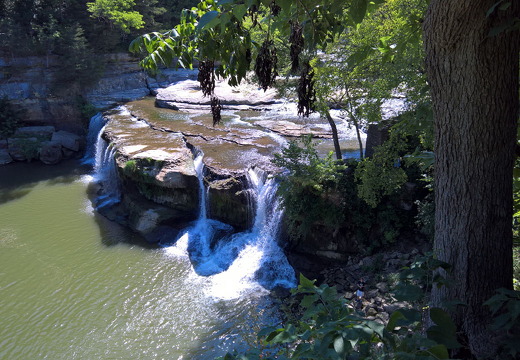 WP-20160807-11-50-35-Pro