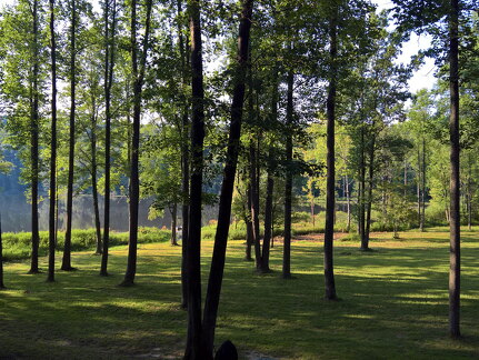 WP-20170810-18-44-15-Rich