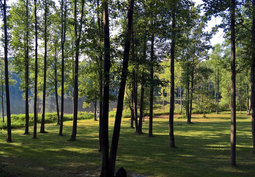 WP-20170810-18-44-15-Rich