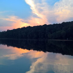 WP-20170810-20-27-20-Rich