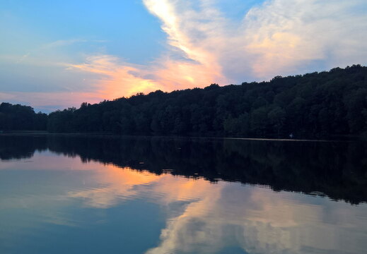 WP-20170810-20-27-20-Rich