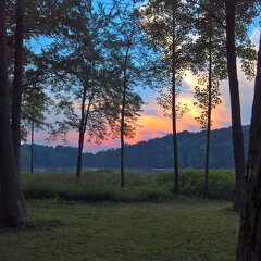 WP-20170810-20-29-56-Rich