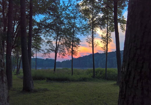 WP-20170810-20-29-56-Rich