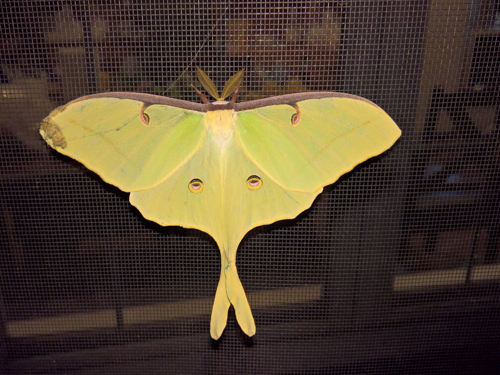 WP-20170810-22-59-10-Rich