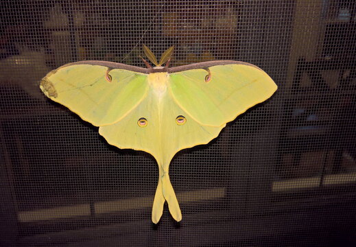 WP-20170810-22-59-10-Rich