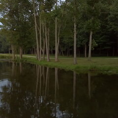 WP-20170811-21-04-39-Pro