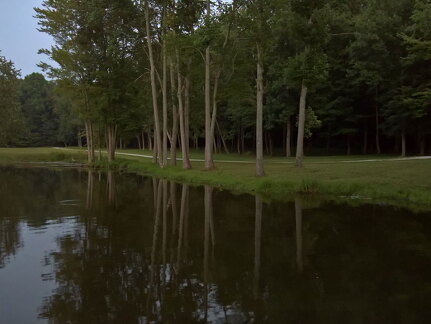 WP-20170811-21-04-39-Pro