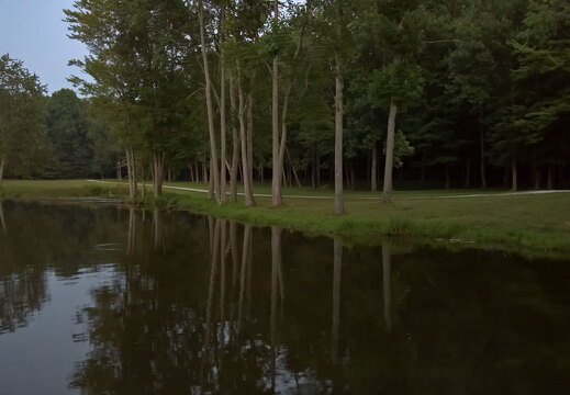 WP-20170811-21-04-39-Pro