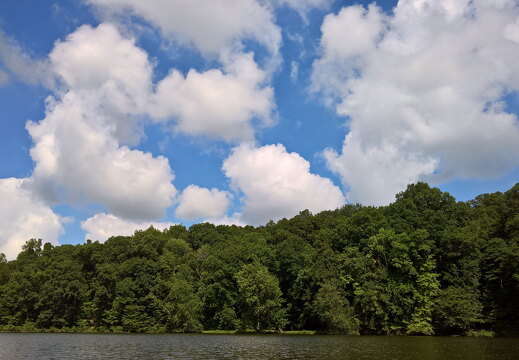 WP-20170812-11-30-55-Rich