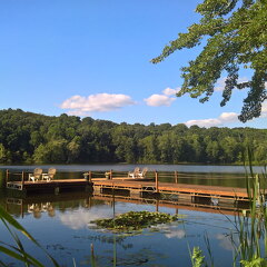 WP-20170812-17-50-04-Rich