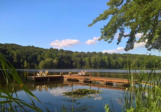 WP-20170812-17-50-04-Rich