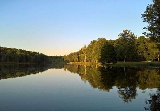 WP-20170812-20-14-08-Rich