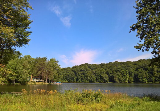 WP-20170813-10-56-27-Rich