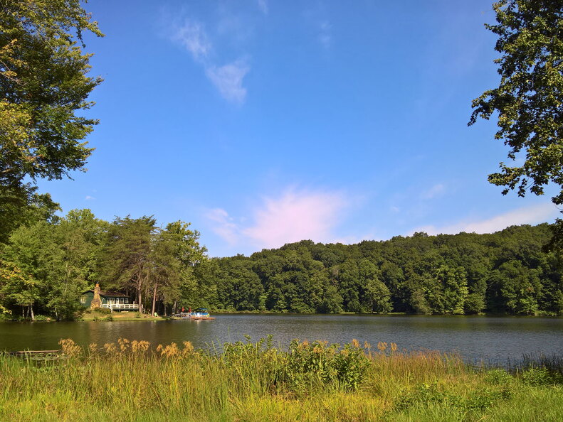 WP-20170813-10-56-27-Rich