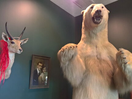 WP-20170813-11-01-11-Rich