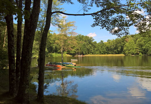 WP-20170813-11-42-11-Rich