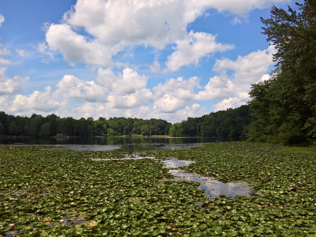 WP-20170813-12-41-57-Rich