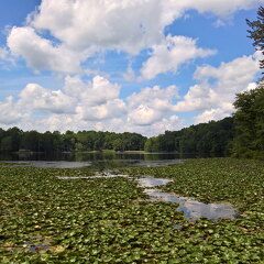 WP-20170813-12-41-57-Rich