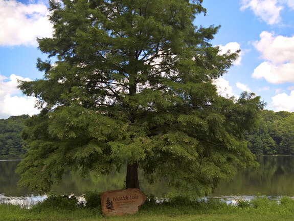 WP-20170813-12-51-49-Rich