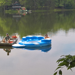 WP-20180810-11-15-53-Pro