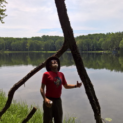 WP-20180810-11-17-43-Pro